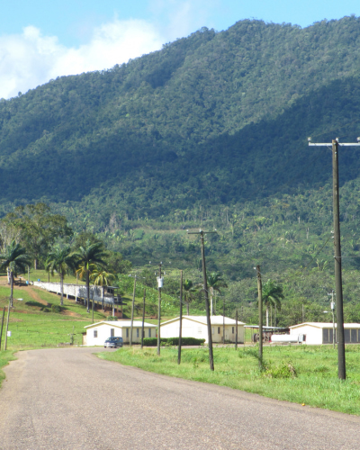 White passenger van driving through lush tropical jungle road