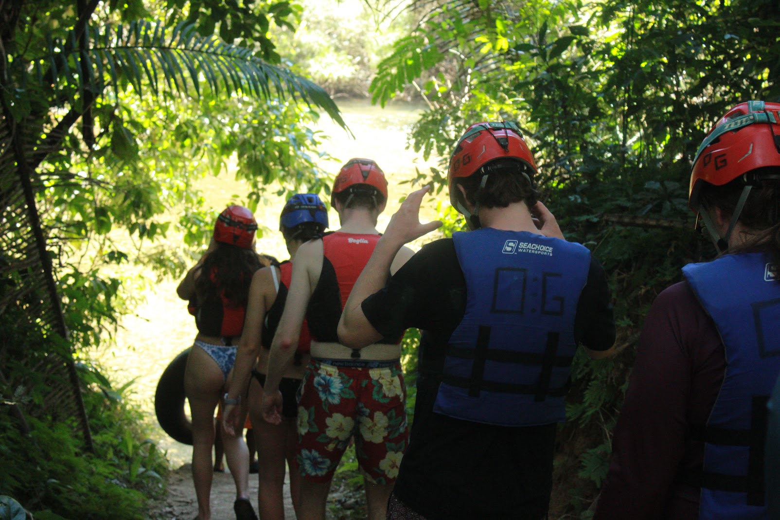 Nocturnal wildlife in Southern Belize night hike