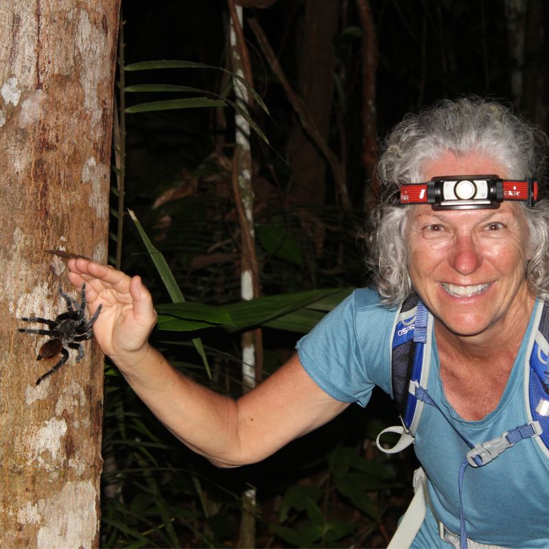 Nocturnal wildlife in Southern Belize night hike