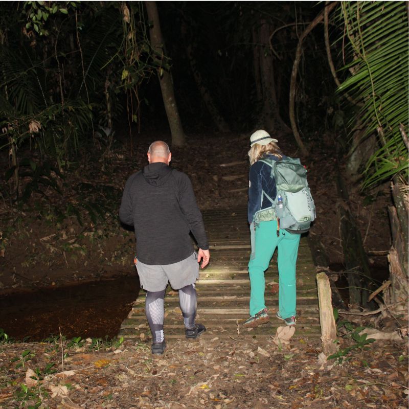 Nocturnal wildlife in Southern Belize night hike