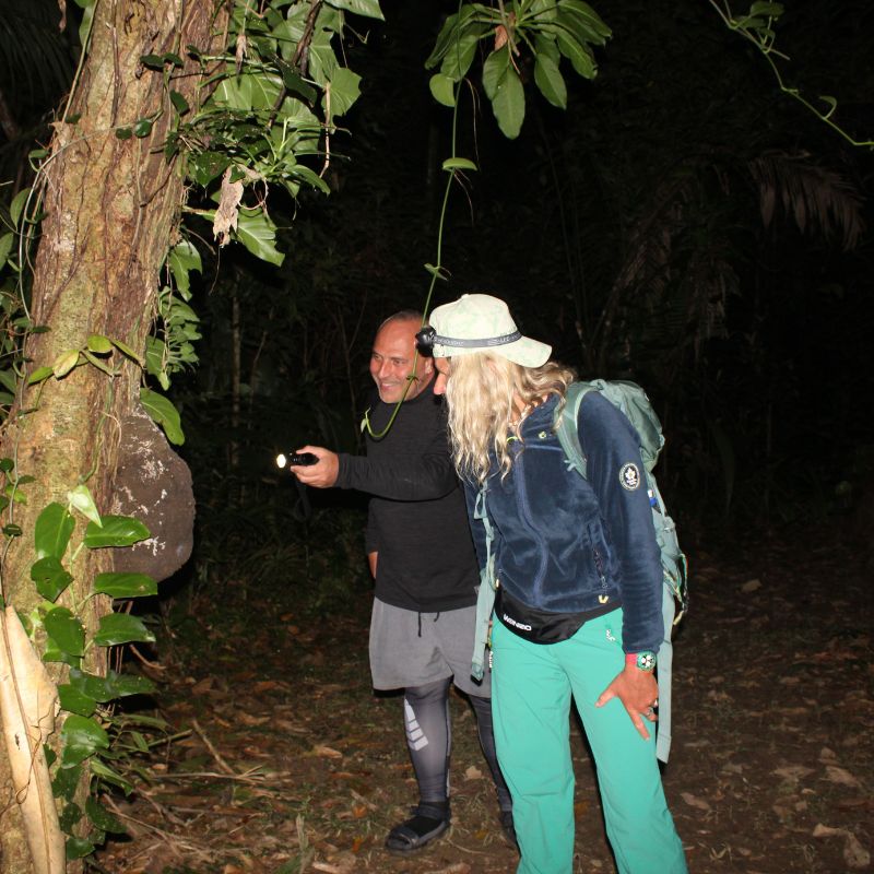 Nocturnal wildlife in Southern Belize night hike